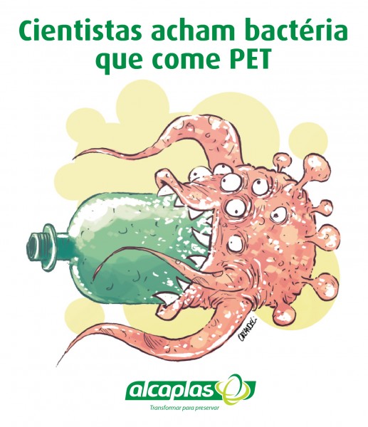 Cientistas acham bactéria que come PET